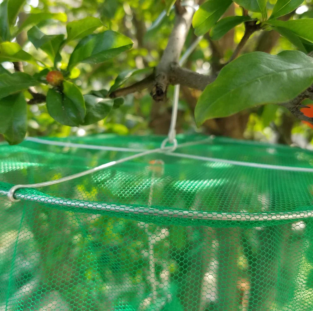 Cage d'élimination de mouches spéciale écurie - capture les mouches pour protéger les chevaux – Image 3