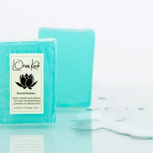 MJYLK08W589.jpgv1668880420 Savon ayurvédique "Eternel Aloevera Neem"