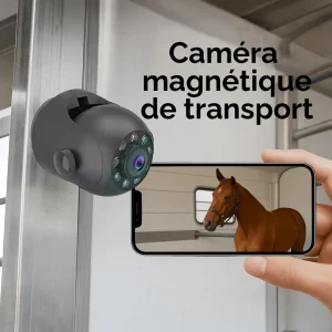 EquiCheck Transport la caméra de surveillance en temps réel pour chevaux