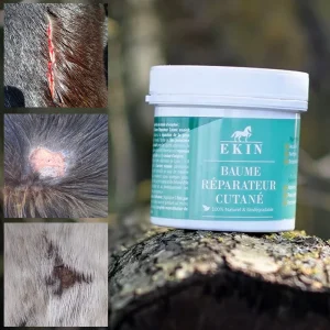 Baume réparateur cutané Naturel Ekin (Accélérateur de cicatrisation)