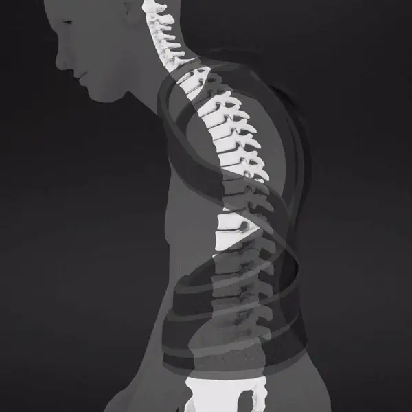 Correcteur de posture dorsale pour l'équitation (Anti maux de dos à cheval) – Image 2